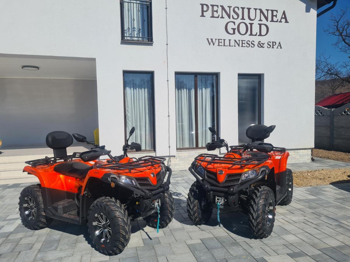 Pensiunea Gold Wellness&Spa Chiscau Екстер'єр фото